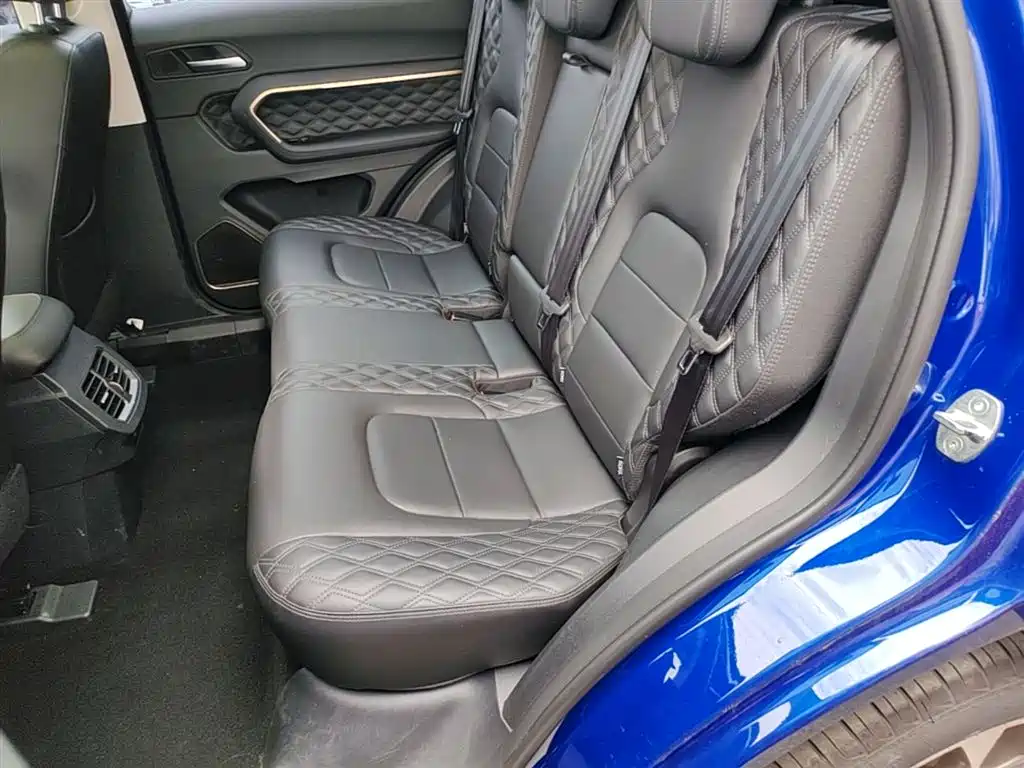 Haval H6 2020 1.5GDIT Automatic Platinum Champion Edition фото 17