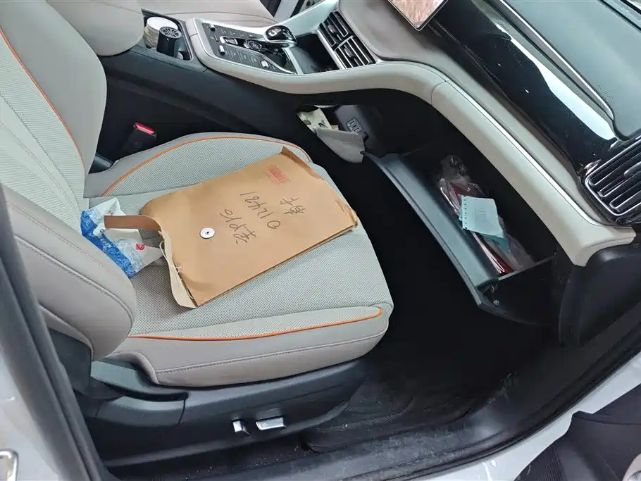 BYD Song Pro New Energy 2024 Glory Edition DM-i 110KM Excellence фото 8