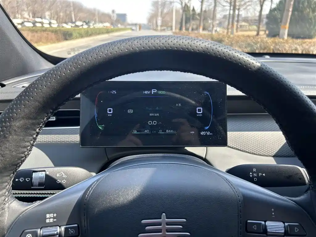 BYD Qin PLUS 2026 DM-i 128KM Progressive фото 15