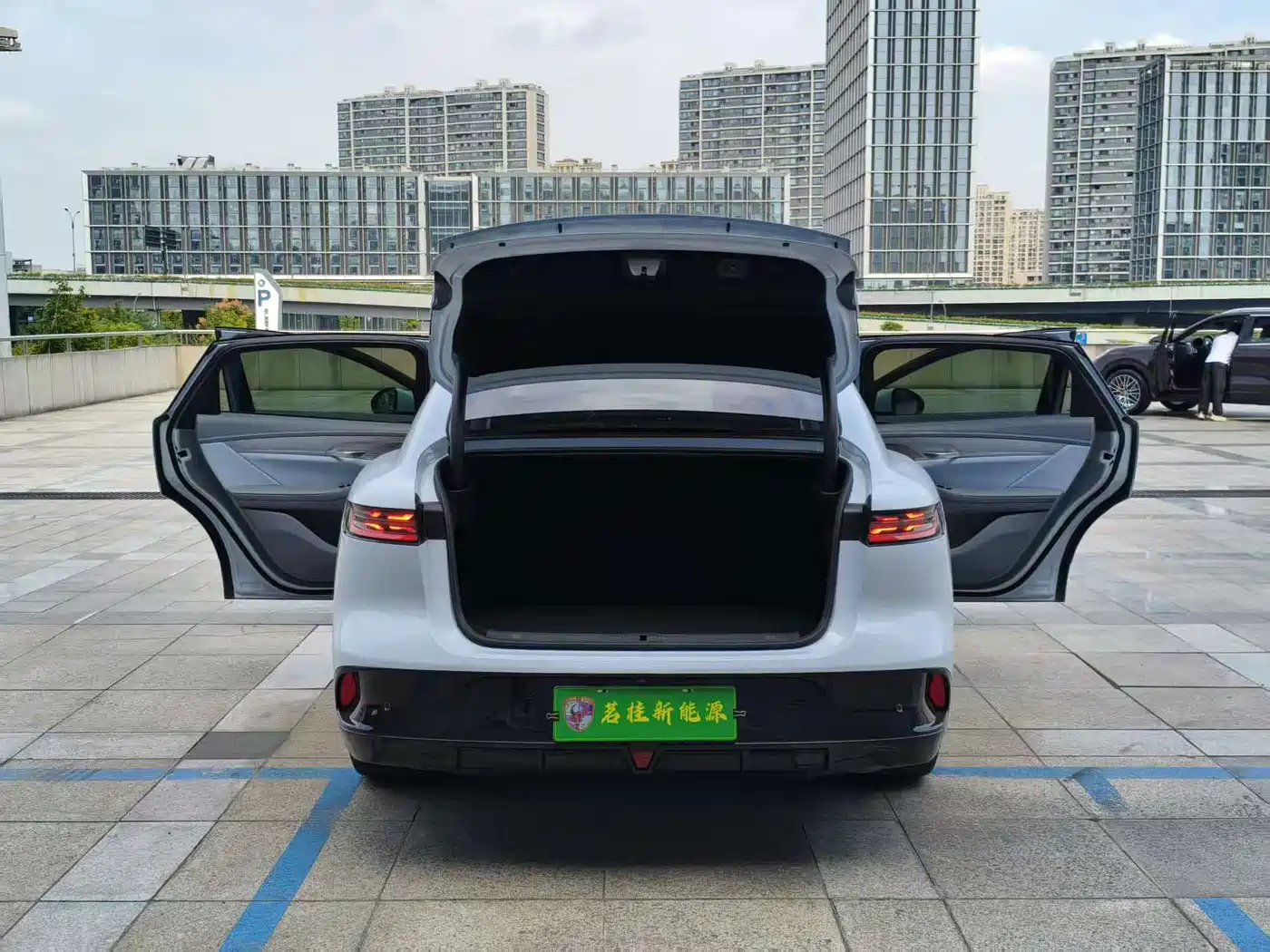 Voyah Passion 2023 2023 4WD Flagship Edition