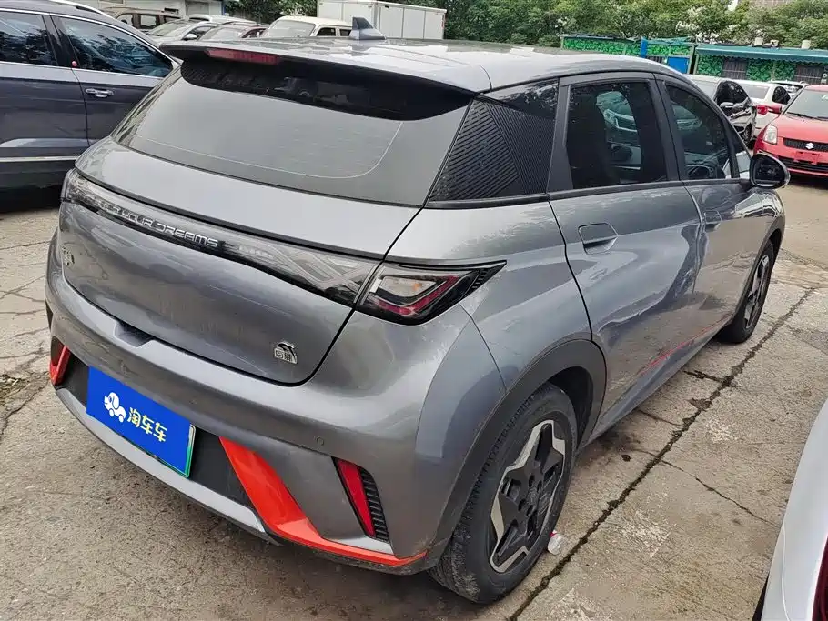 BYD Dolphin 2021 Model 405km Fashion Edition фото 3