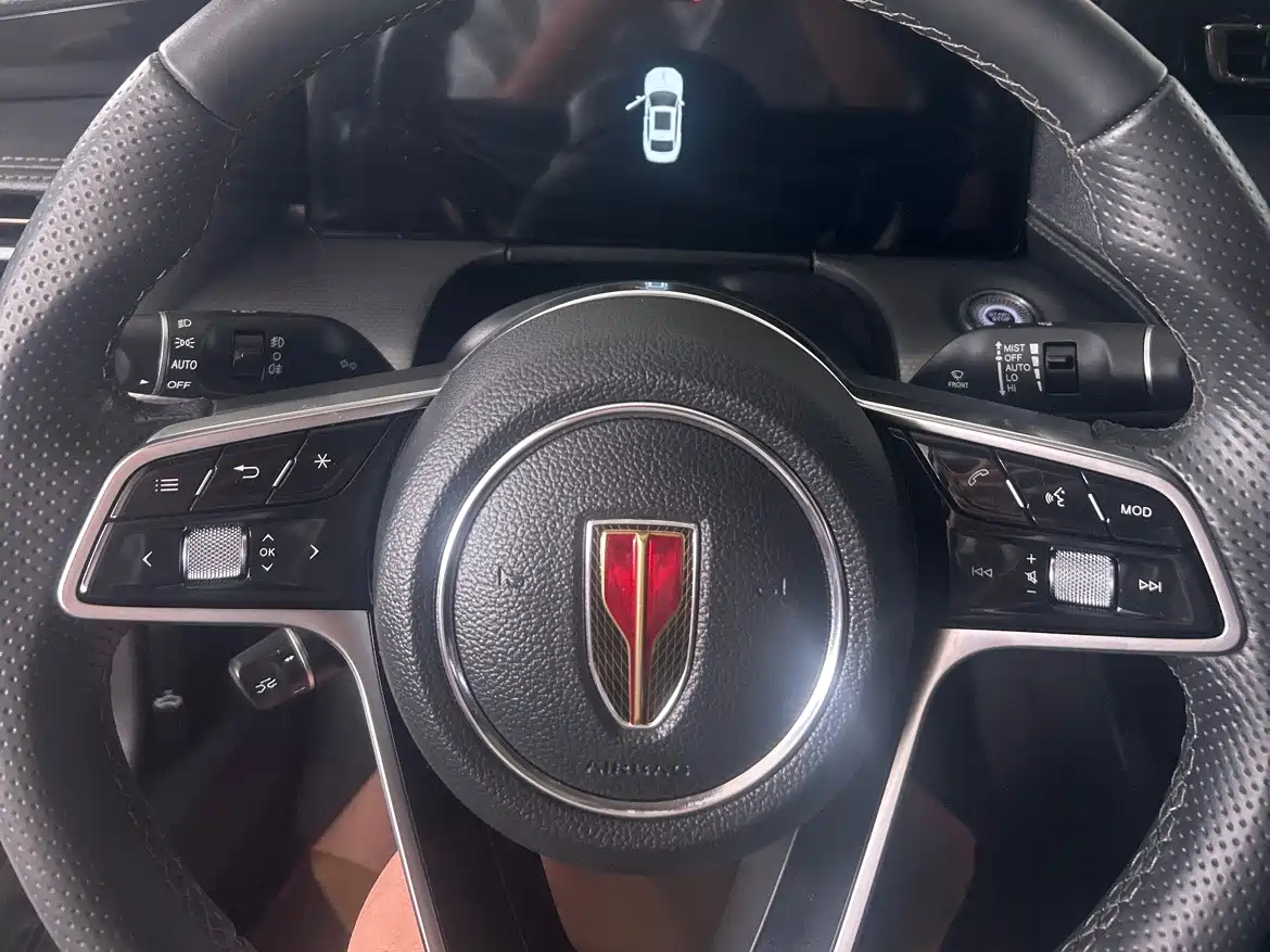 Hongqi H5 2024 2.0T Automatic Smart Connect Flag Smooth Edition фото 14