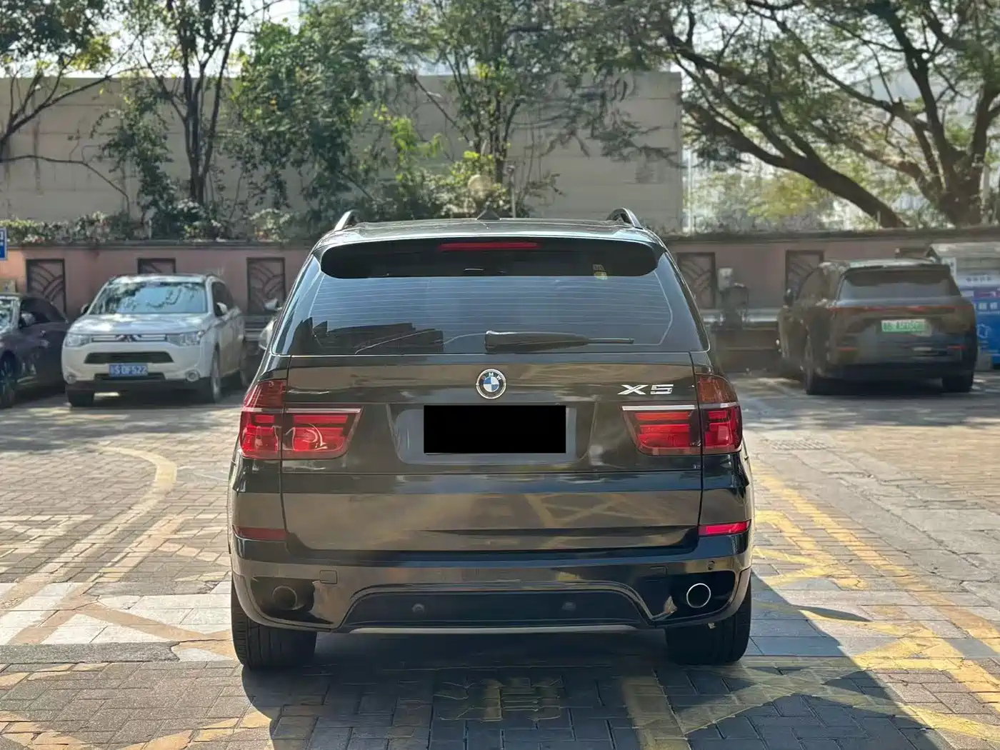 BMW X5 (Import) 2011 xDrive35i Leading Edition фото 10