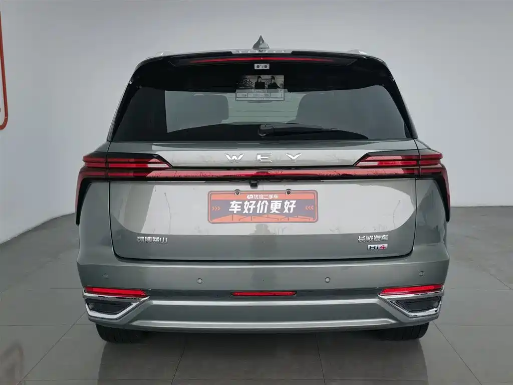 WEI PAI WEI BRAND BLUE MOUNTAIN