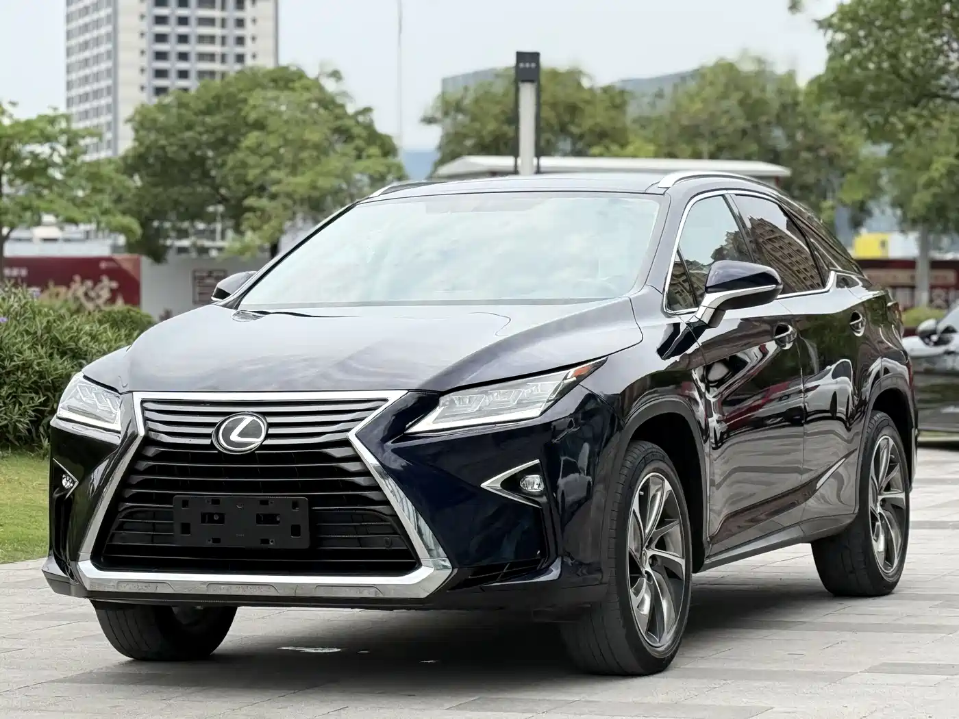 Lexus RX 2016 300 4WD Elegance Edition (China V)