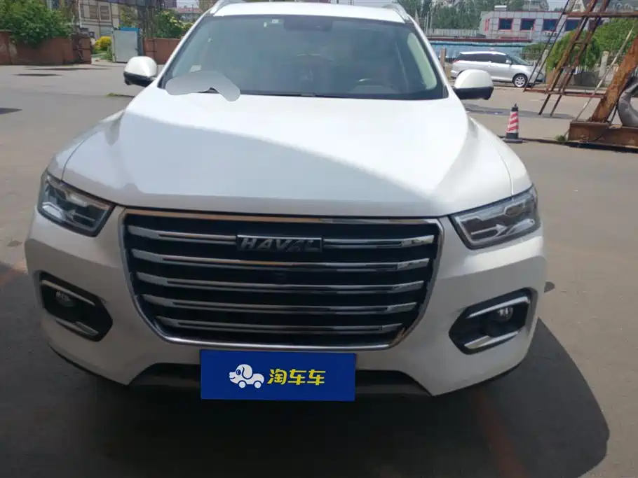Haval H6 2020 2.0GDIT Automatic Platinum Champion Edition фото 2