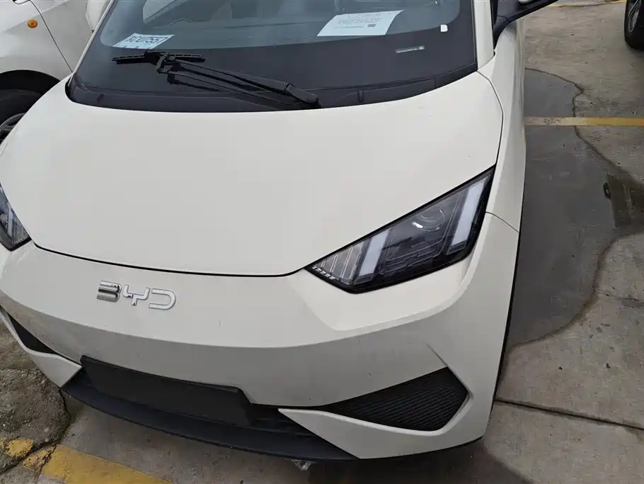 BYD Seagull 2025 305km Vitality фото 2