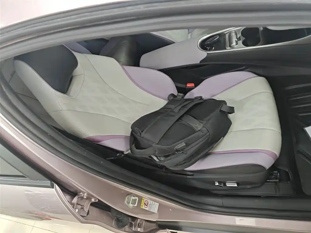 BYD Dolphin 2023 420km Fashion Edition фото 25