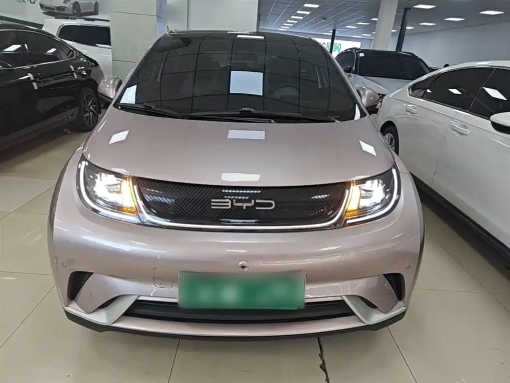 BYD Dolphin 2023 420km Fashion Edition фото 3