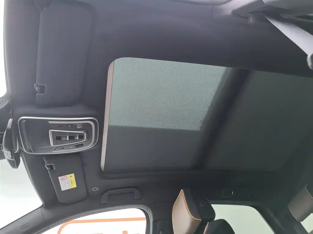 BYD Tang New Energy 2021 DM-i 112KM Honor фото 14