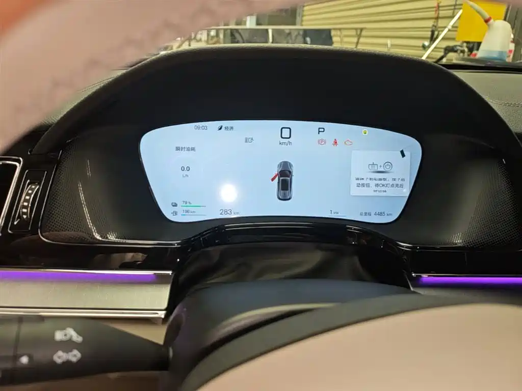 BYD Tang New Energy 2025 Smart Driving Edition DM-i 115KM Flagship фото 12