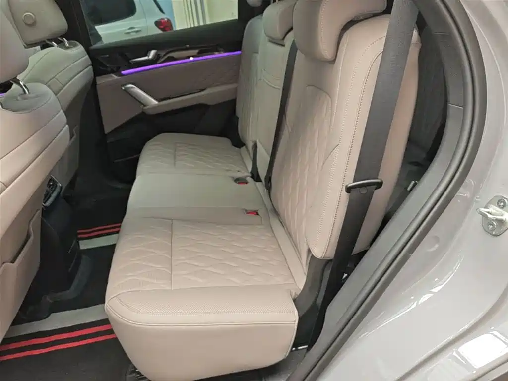 BYD Tang New Energy 2025 Smart Driving Edition DM-i 115KM Flagship фото 17