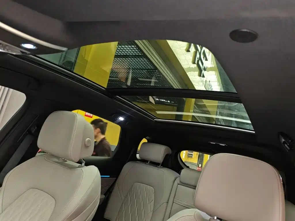 BYD Tang New Energy 2025 Smart Driving Edition DM-i 115KM Flagship фото 18