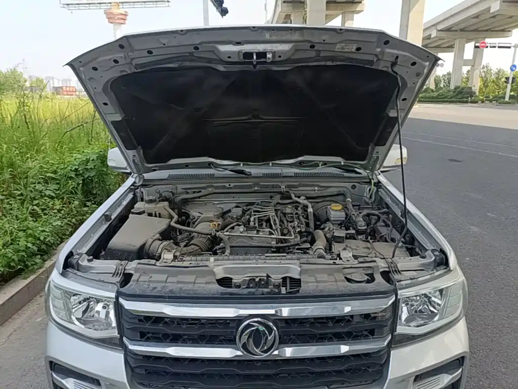 Dongfeng Ruiqi 2023 2023 2.4T Diesel 2WD Startup Long Cargo Box YCY24165-61
