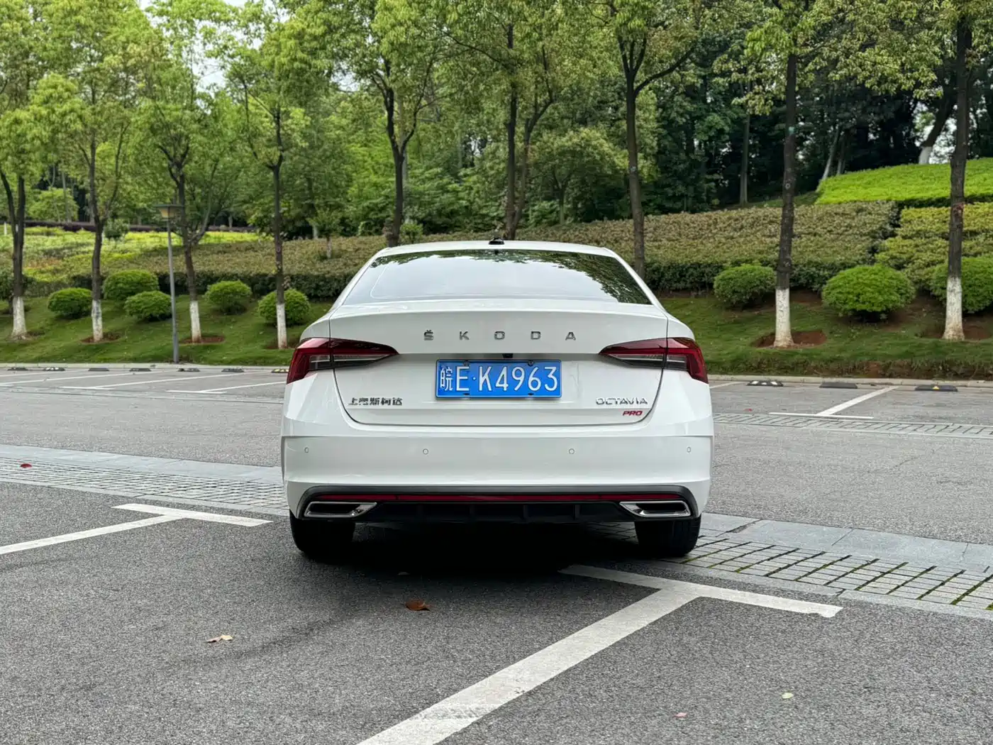 Škoda Octavia 2021 PRO TSI280 DSG Premium Edition фото 6