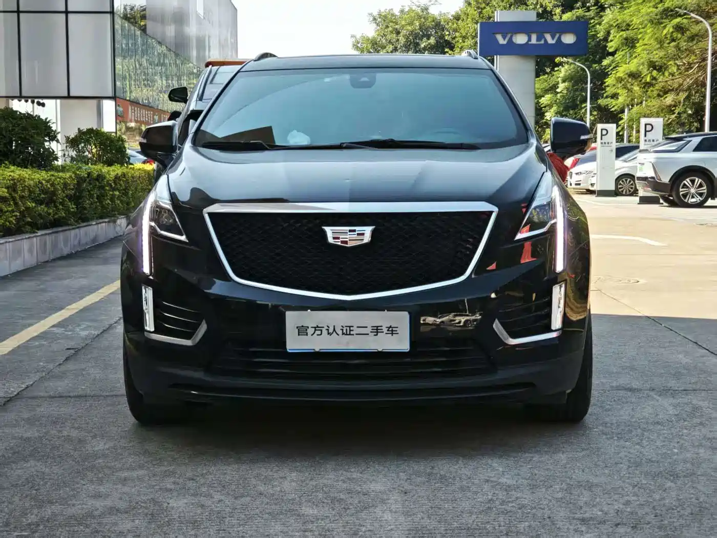 Cadillac XT5 2024 2024 2.0T AWD Luxury (Hummingbird Edition)