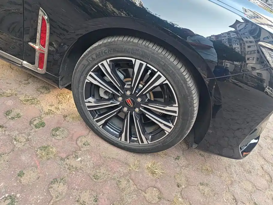 Hongqi H9 2025 2024 2.0T Qi Enjoy Private Fashion Edition