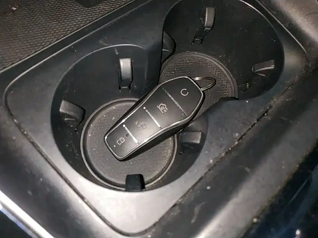 BYD Qin PLUS 2023 Champion Edition DM-i 120KM Excellence фото 9