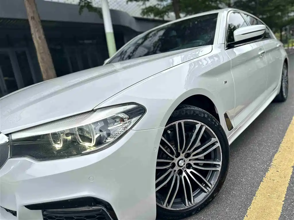 BMW 5 Series 2018 530Li Leading M Sport Package фото 11
