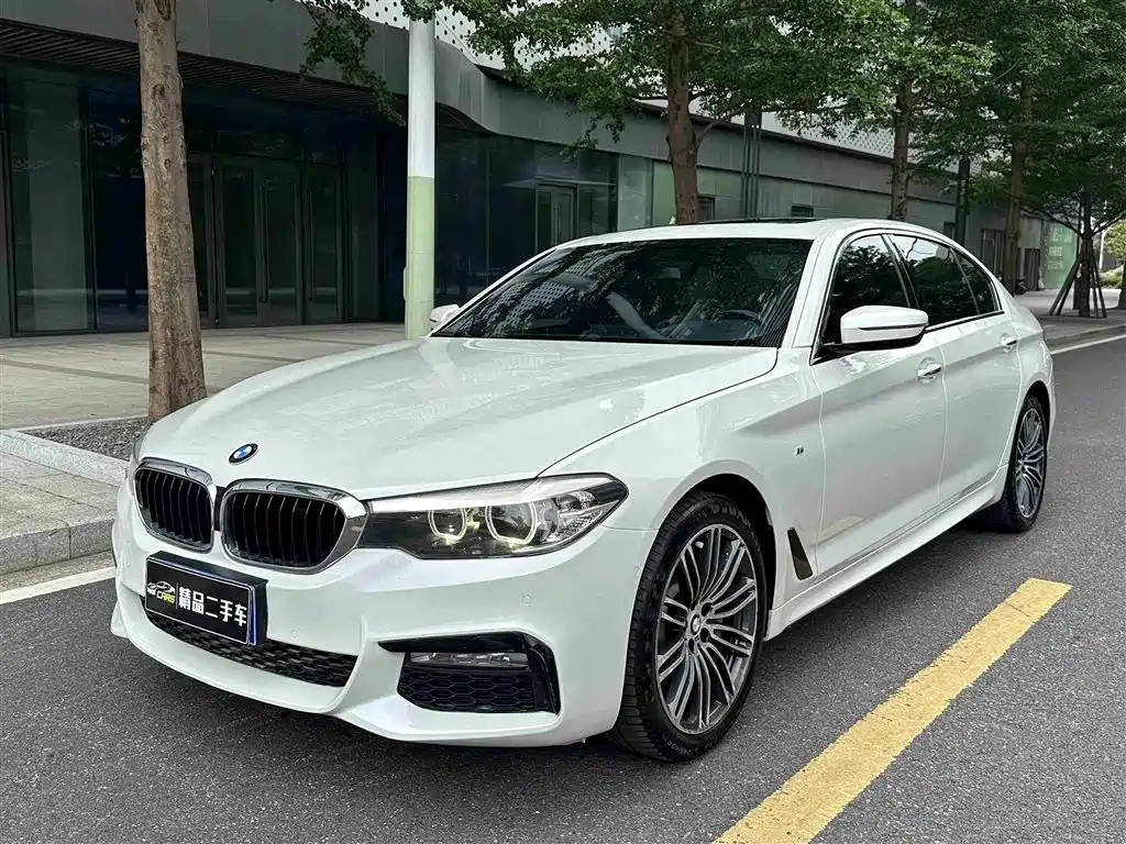 BMW 5 Series 2018 530Li Leading M Sport Package