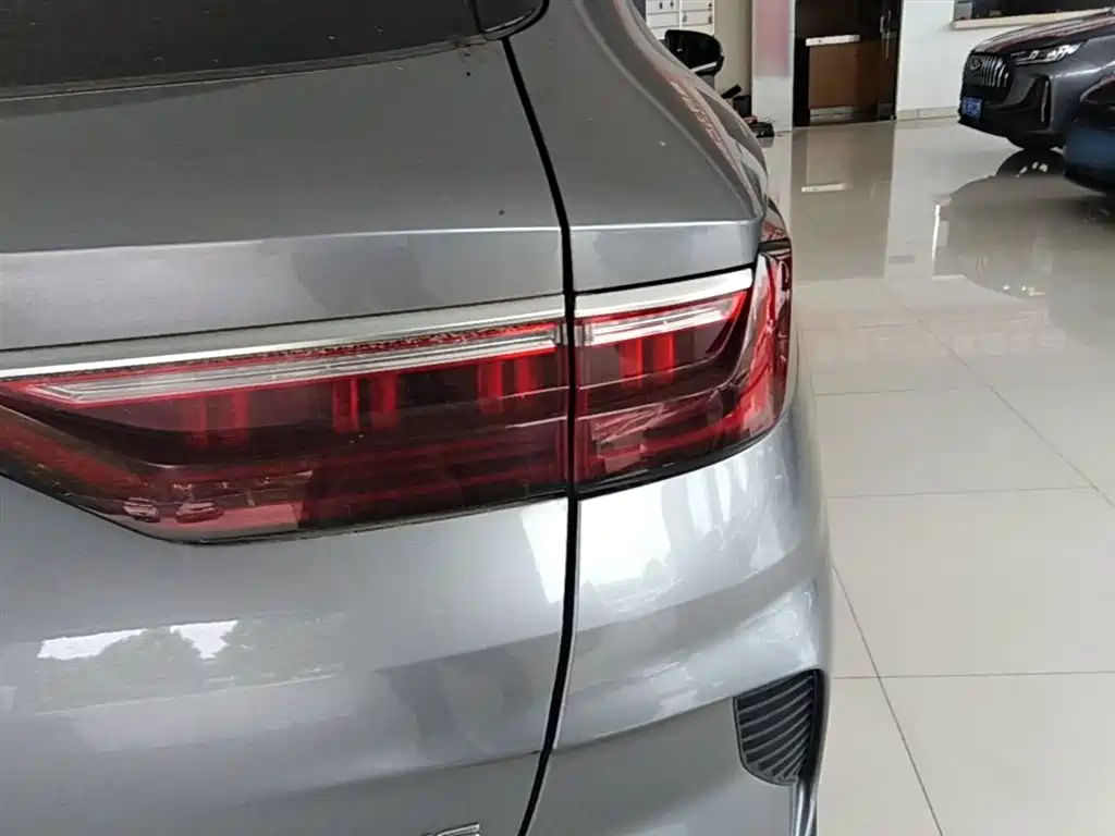 BYD Song PLUS PHEV 2021 DM-i 110KM Flagship фото 8
