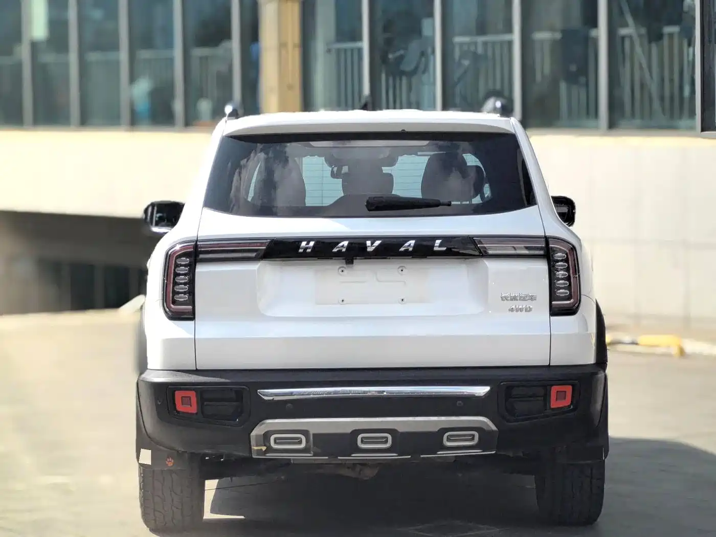 HAVAL BIG DOG