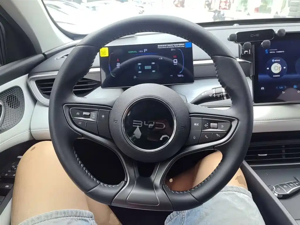 BYD Hai Bao 05 DM-i 2025 DM-i Smart Drive Edition 55KM Luxury фото 11