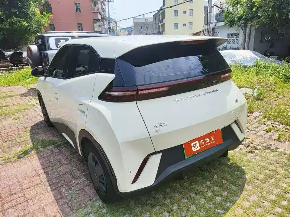 BYD Seagull 2023 Vitality Edition фото 2