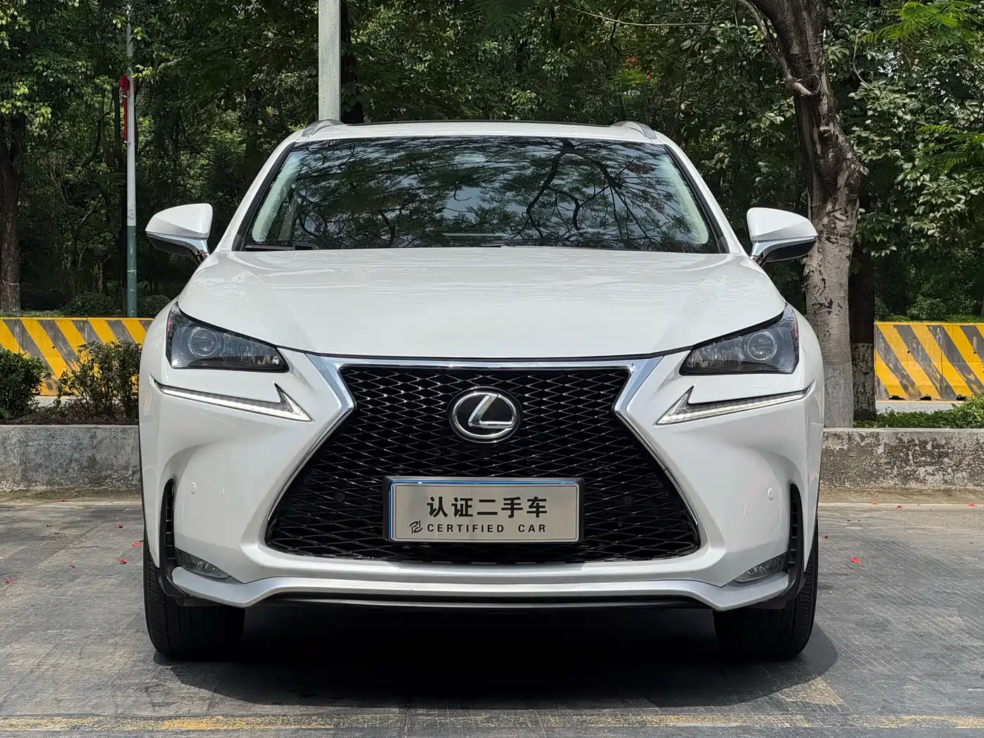 Lexus NX 2016 200 AWD F Sport фото 2