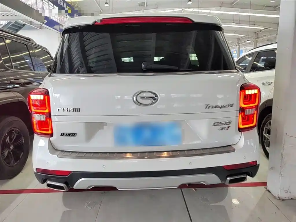 GAC Trumpchi Trumpchi GS8 2017 320T AWD Luxury Smart Connect (7-Seater) фото 6