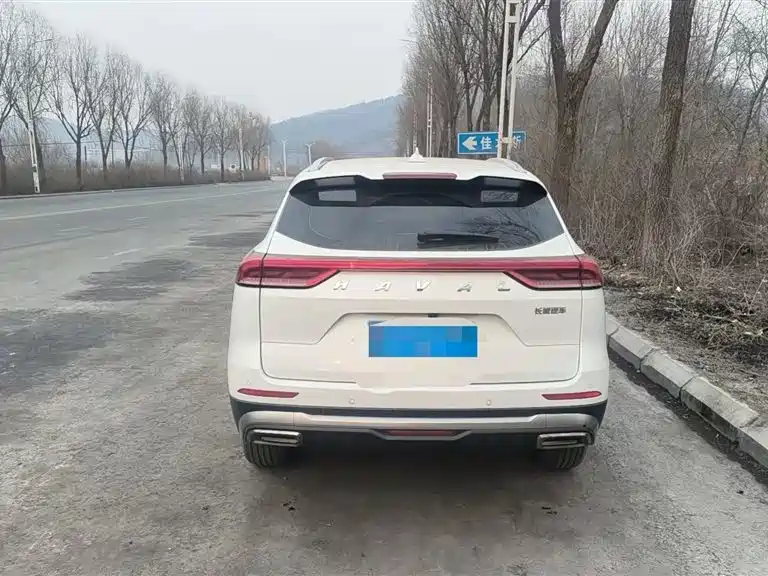 HAVAL H6