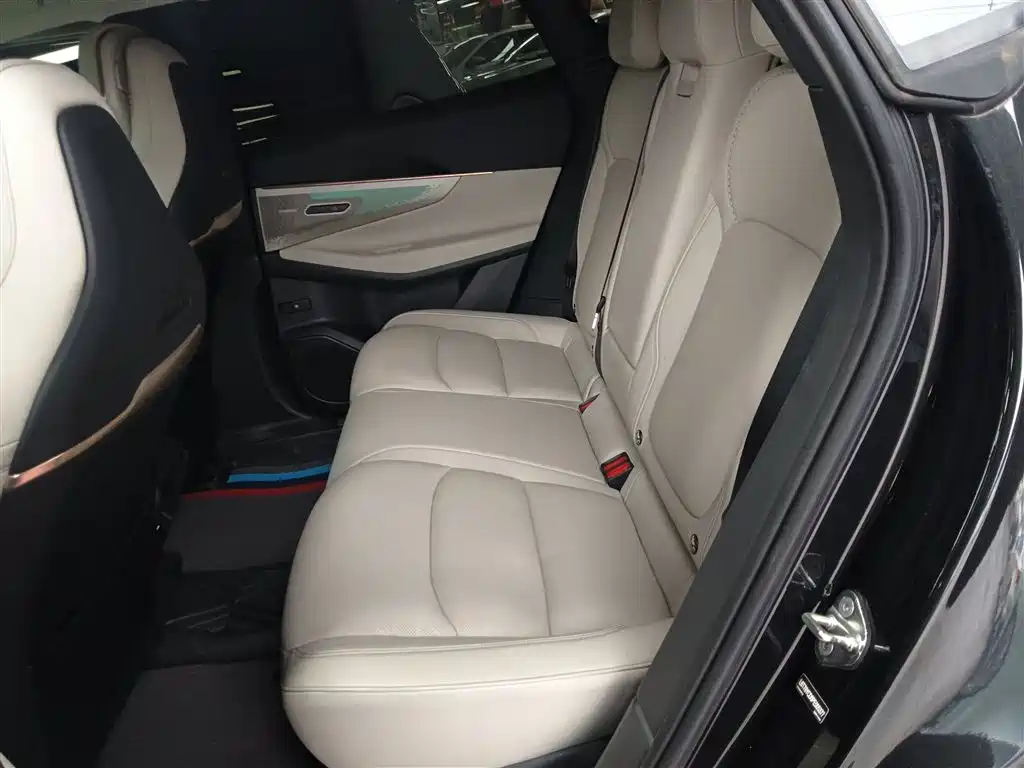 Lynk & Co 08 EM-P 2023 220km 4WD Performance Halo фото 13