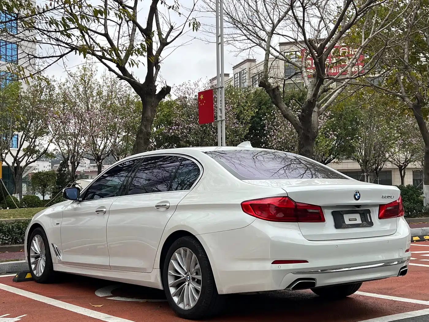 BMW 5 Series 2018 530Li Leading Luxury Package фото 7