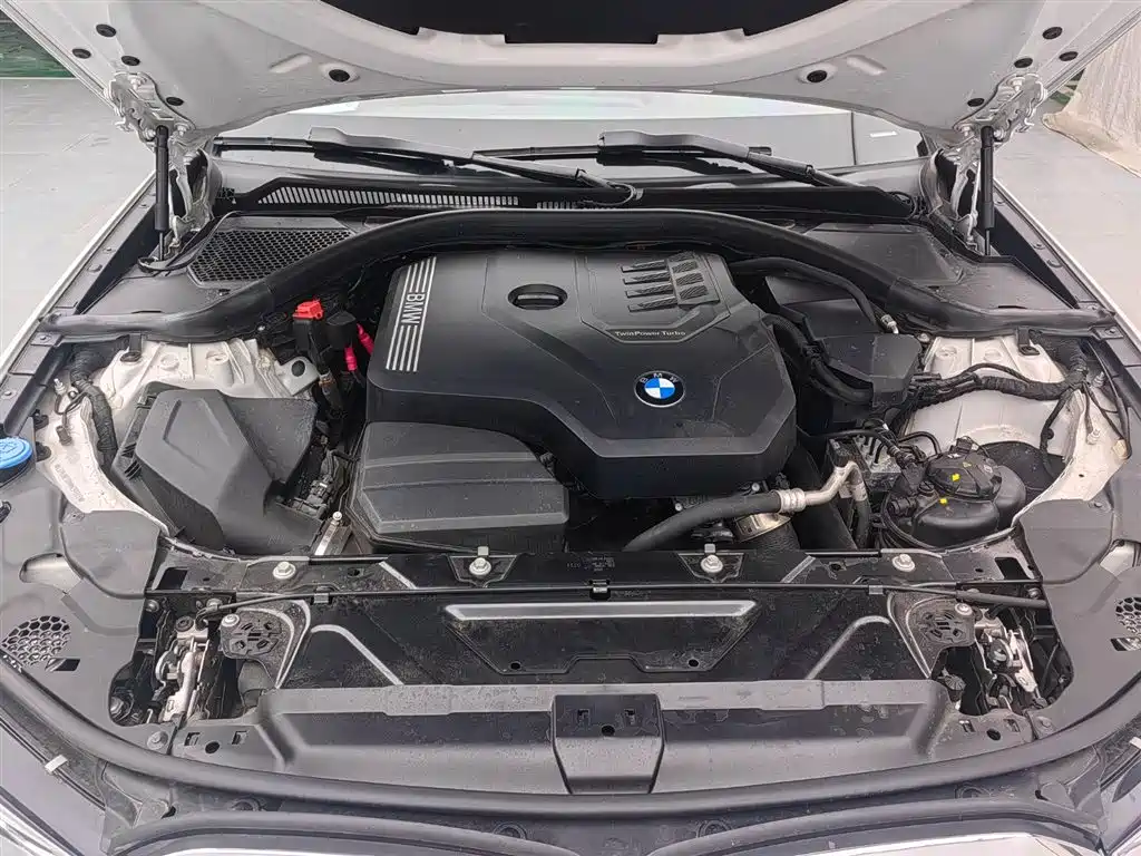 BMW 3 Series 2021 320Li M Sport Package фото 17
