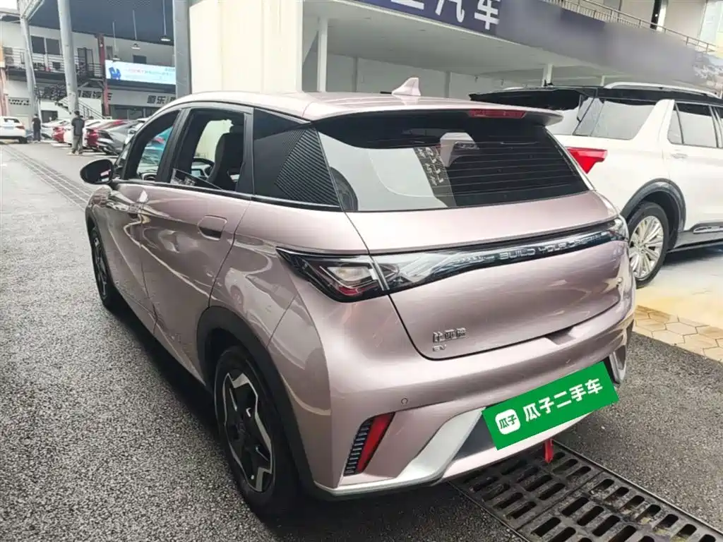 BYD Dolphin 2021 Model 405km Fashion Edition фото 5