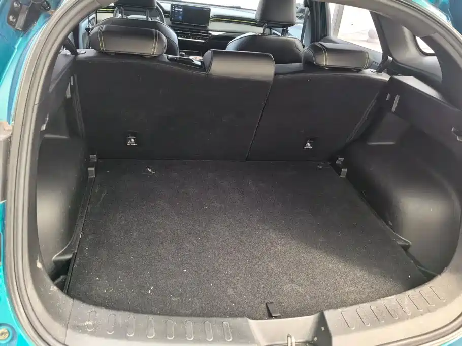 Haval Chitu 2021 2021 Turbo Edition 1.5T Golden Rabbit