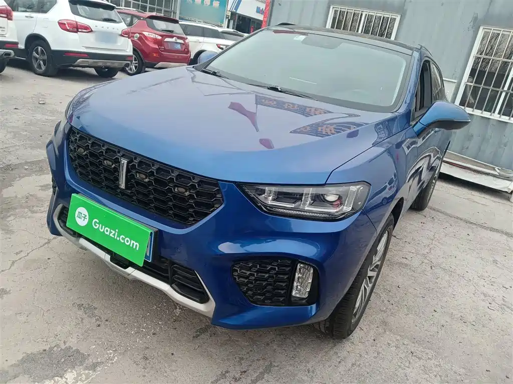 WEY VV5 2017 2017 2.0T Super Luxury Model