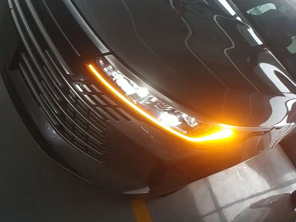 BYD Destroyer 05 2024 Glory Edition DM-i 55KM Luxury фото 24