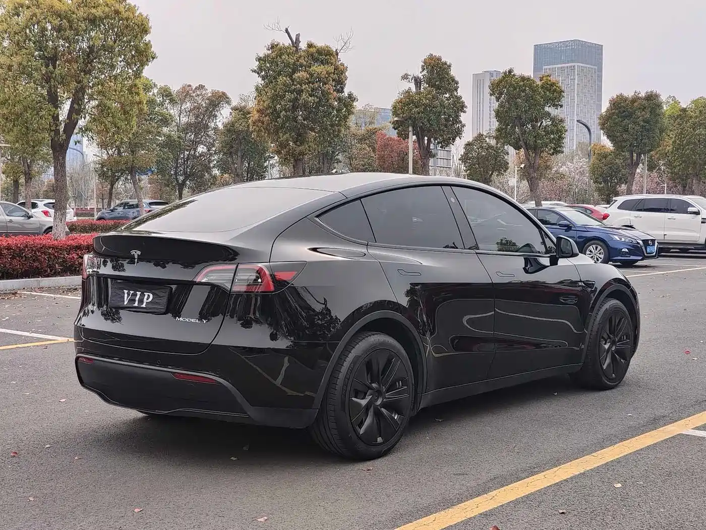 TESLA MODEL Y