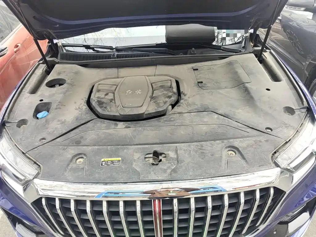 Hongqi HS5 2019 2.0T Smart Connect Enjoy 4WD Edition фото 11