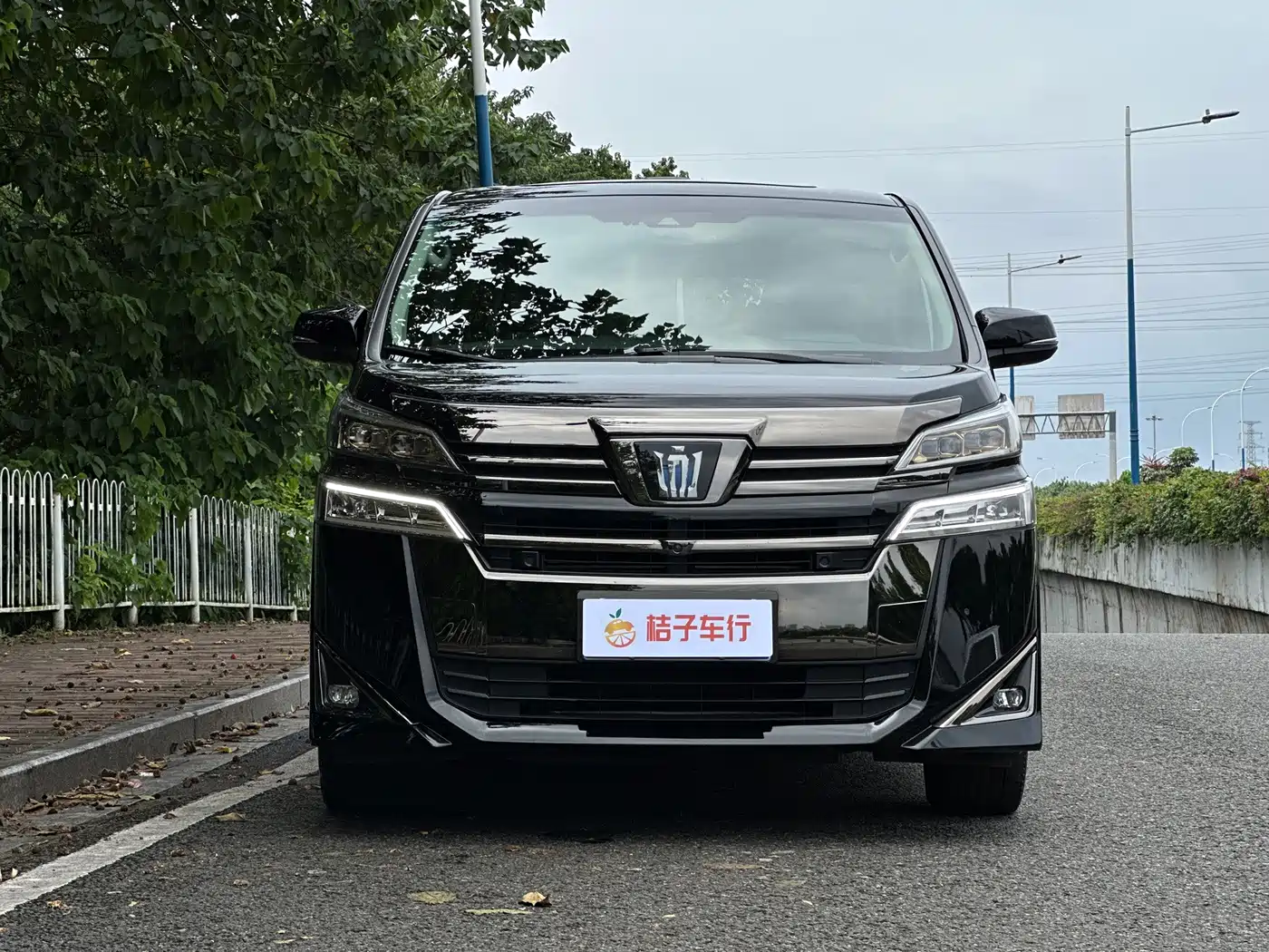 Фото 3 - Toyota Vellfire