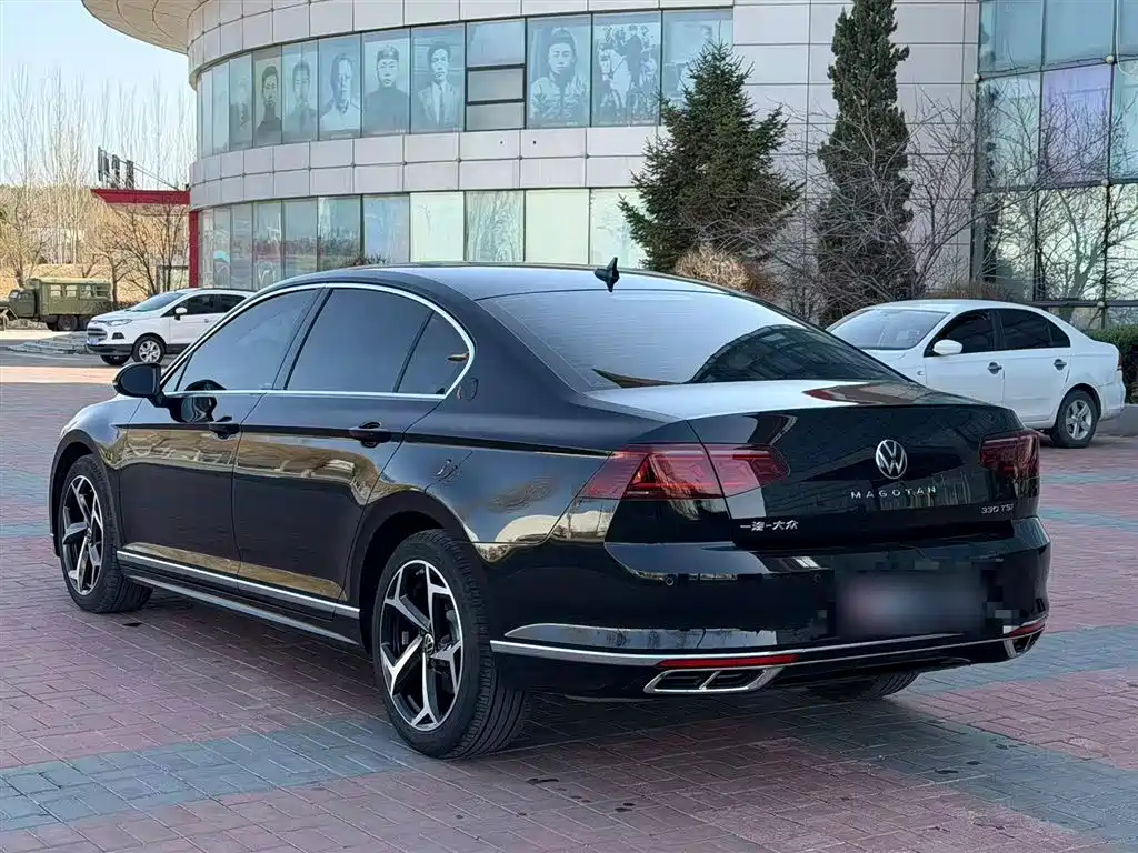 Volkswagen Magotan 2025 Popular Edition 330TSI DSG Luxury фото 5