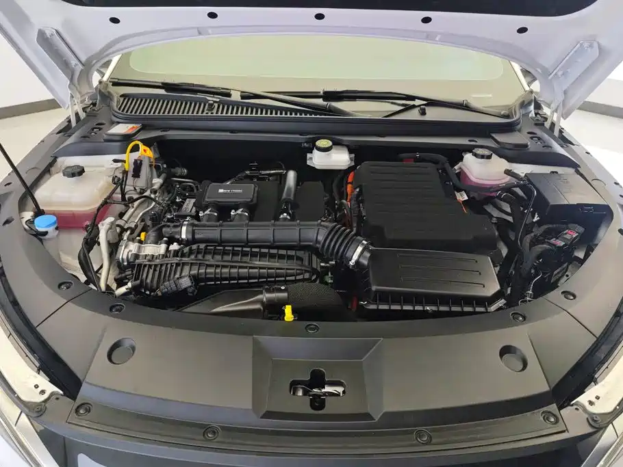 BYD Qin L 2024 2024 DM-i 80KM Leading Edition