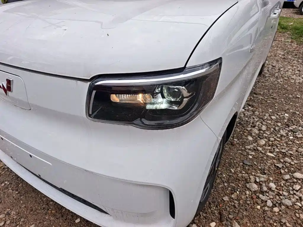 Wuling Motors Wuling Zhiguang NEV 2026 2025 Model 305km Base Version