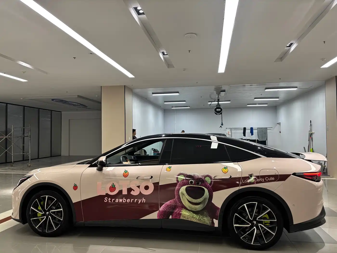 ARCFOX EXTREME FOX POLAR FOX ALPHA S5