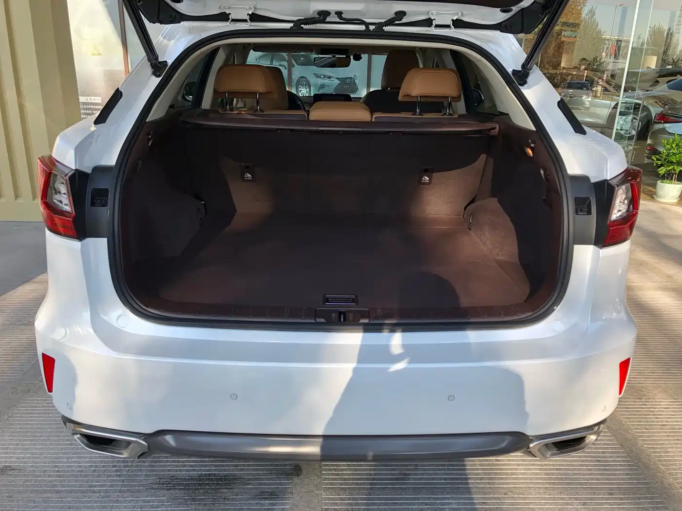 LEXUS RX