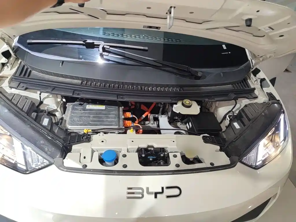 BYD Seagull 2026 2025 305km Vitality