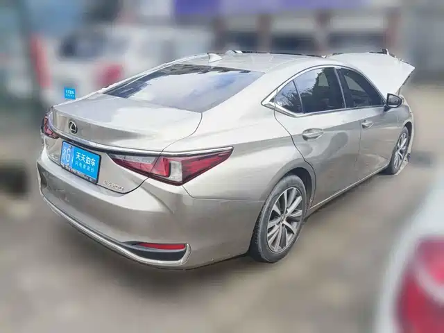 Lexus ES 2018 200 Excellence Edition China V — фото 5