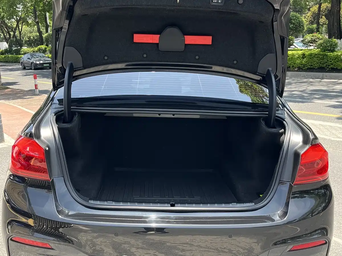 BMW 5 Series 2020 525Li M Sport Package фото 24