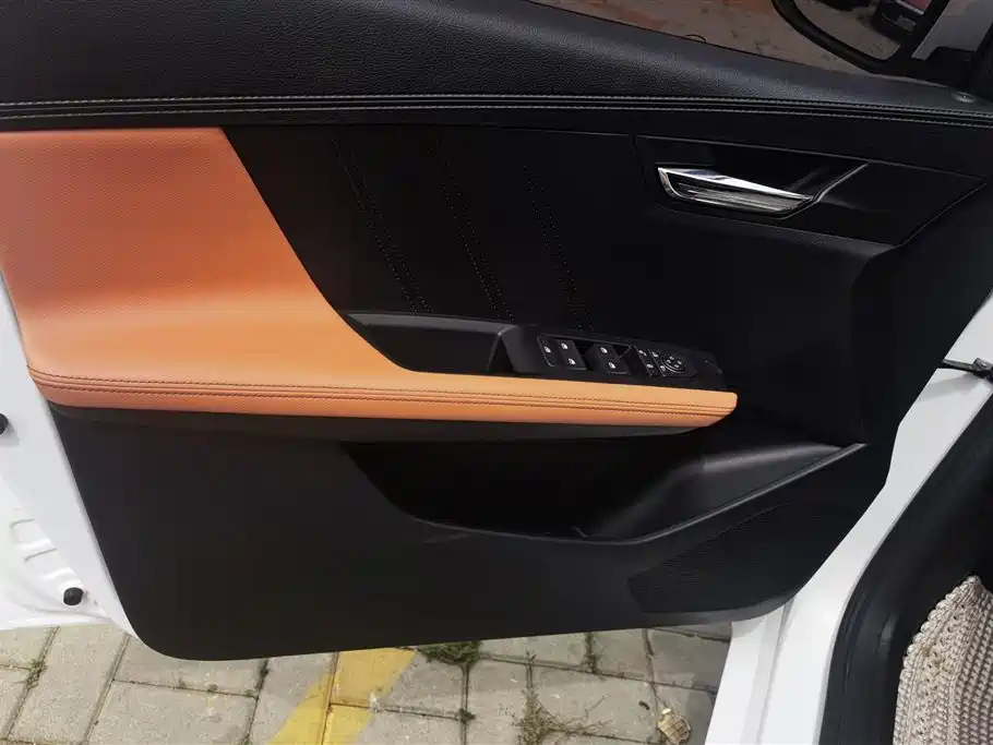 BYD e2 2021 Luxury Edition фото 7